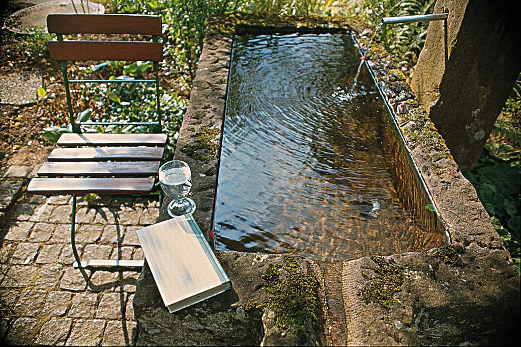 Kloesterle Hof Bad Rippoldsau-Schapbach Kültér fotó