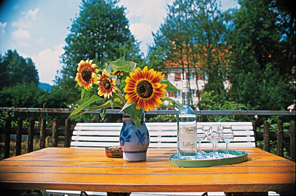 Kloesterle Hof Bad Rippoldsau-Schapbach Kültér fotó